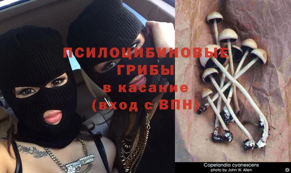 jwh Абинск