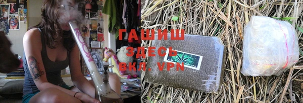 гашик Осташков