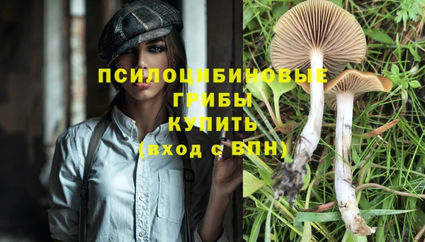 герыч Осинники